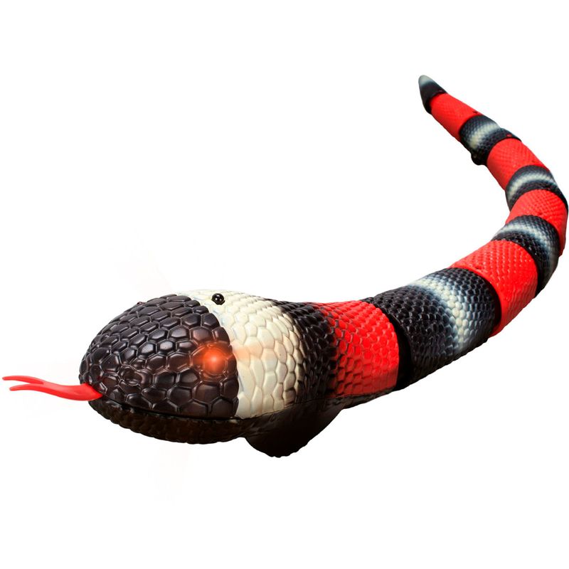 Discovery-Serpiente-Kingsnake-R-C_1