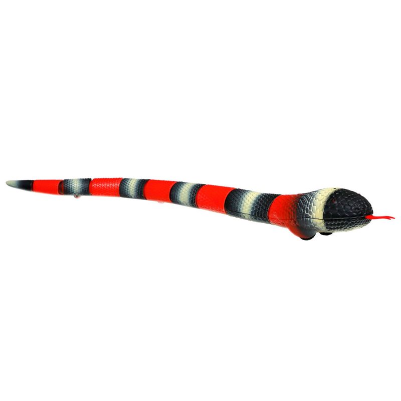 Discovery-Serpiente-Kingsnake-R-C_2