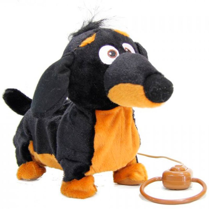 Perrito-Camina-R-C