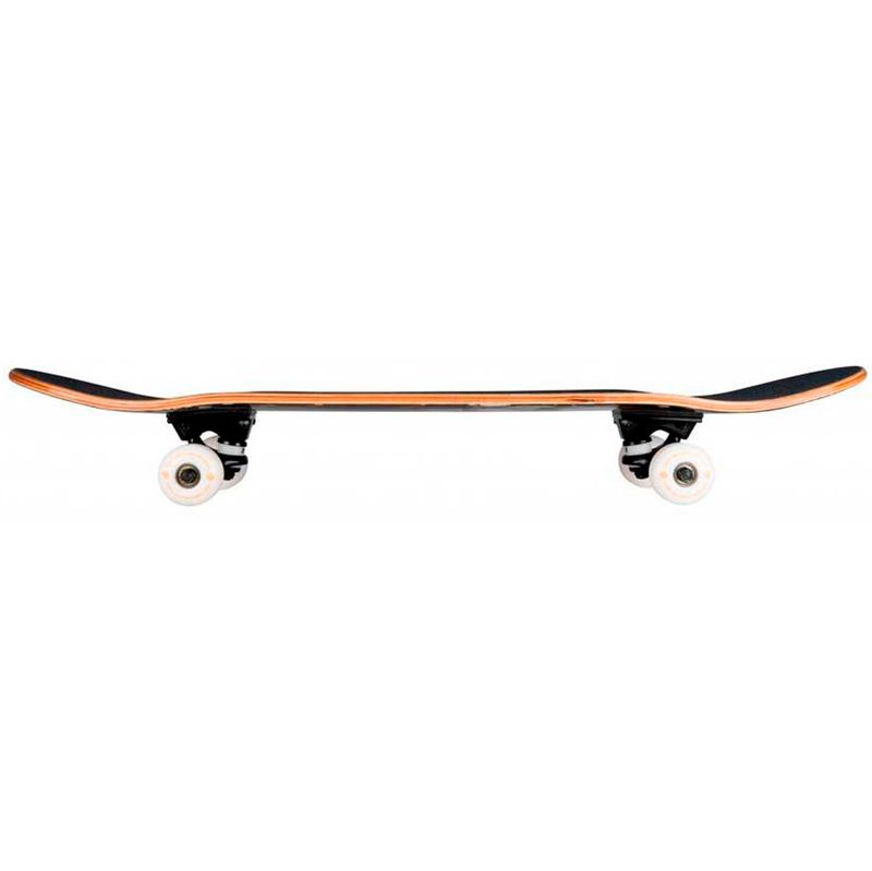 Monopatin-Skateboard-Tony-Hawk_1