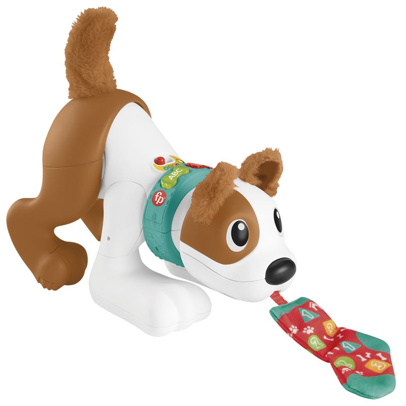 Perrito-1-2-3-Gatea-Conmigo