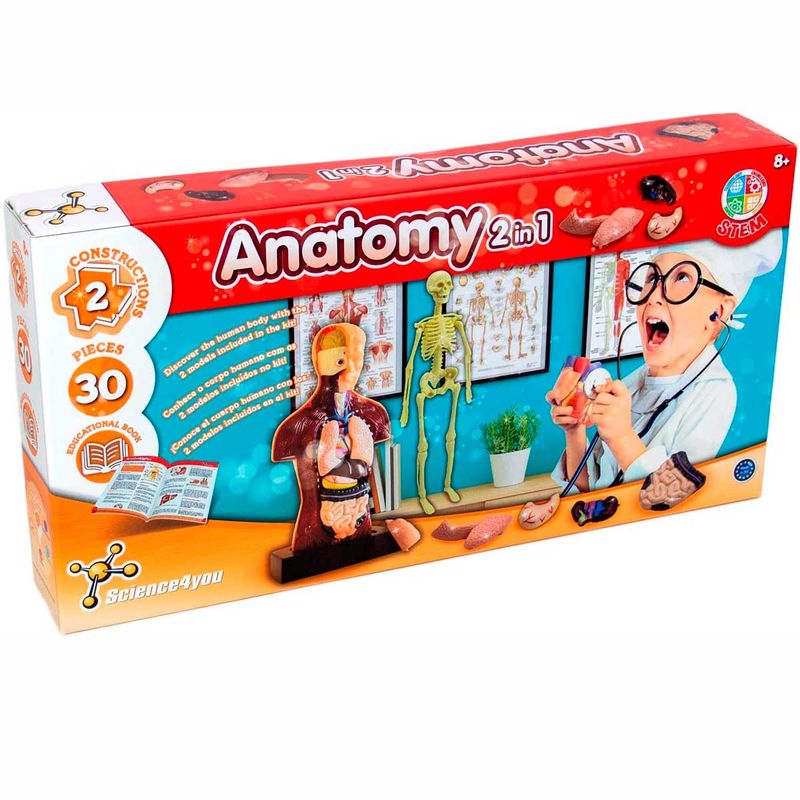 Kit-Anatomia-Humana-2-en-1