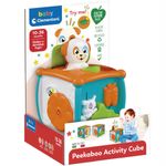 Cubo-de-Actividades_1