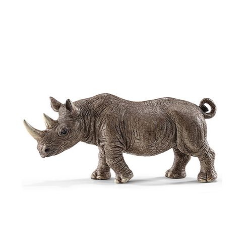 Figura de Rinoceronte