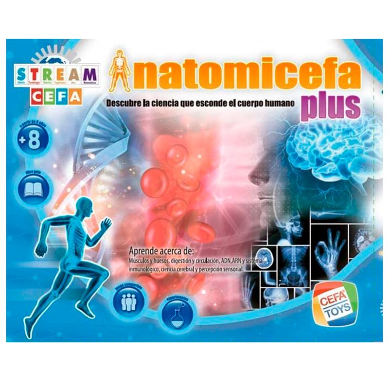 Anatomicefa-Plus