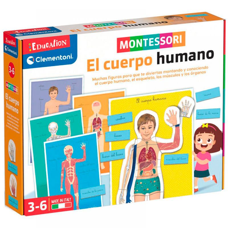 Montessori-el-Cuerpo-Humano