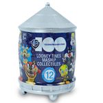 Warner-Bross-Capsula-Magica-Sorpresa