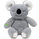 Peluche-Koala-Mindful-tu-Amigo-de-la-Meditacion
