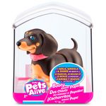 Pets-Alive-Perrito-Booty-Shakin-Surtido_5