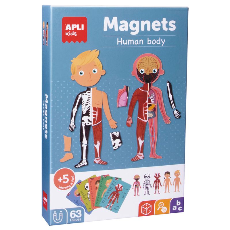 El-Cuerpo-Humano-Juego-Magnetico