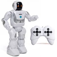 Program a Bot X Robot R/C