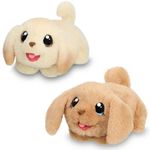 Little-Live-Pets-Casa-para-Cachorro-Surtida_1