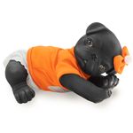 Anireal-Perro-Pug-Reborn