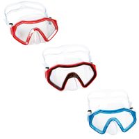 Gafas de Buceo Surtidas