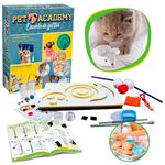 Pet-Academy-Escuela-de-Gatitos