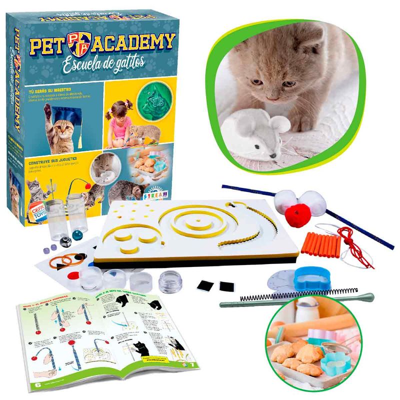 Pet-Academy-Escuela-de-Gatitos
