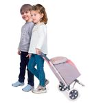 Carrito-Rosa-de-la-Compra-Funny_1