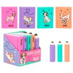 Top-Model-Pack-Mini-Gomas-de-Borrar-Libros