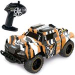 Tiger---Vehiculo-R-C