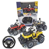 Quad Off Road R/C Escala 1:43 Surtido