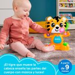Banda-Animal-Tin-el-Tigre_1