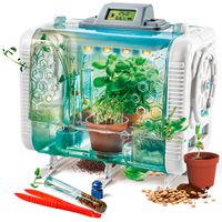 Ciencia y Juego Lab Invernadero Tecnológico