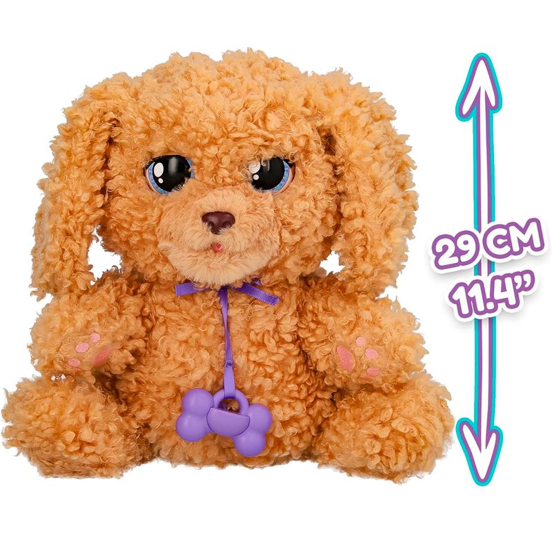 Baby-Paws-Love---Care-Labradoodle_1