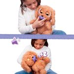 Baby-Paws-Love---Care-Labradoodle_2