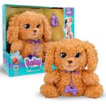Baby-Paws-Love---Care-Labradoodle_4