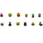 Planta-Exotica-Construccion-Surtida_1