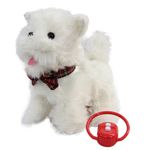 Perrito-Camina-Blanco