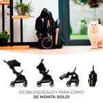 Silla-paseo-Apino-22kg-Beige_1
