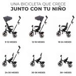 Triciclo-Aston-Grey_1