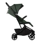 Silla-paseo-Wing--22kg-Botanic_1