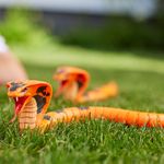 Robo-Alive-King-Cobra-Serpiente_1