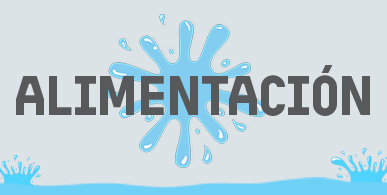 Alimentacion